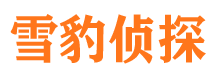 蕉城寻人公司